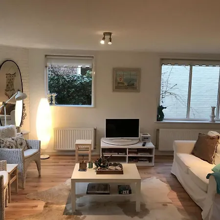 Modern Holiday In With Forest Near *