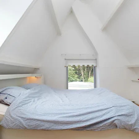 Modern Holiday In With Forest Near